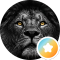 reviews, brake and tire check